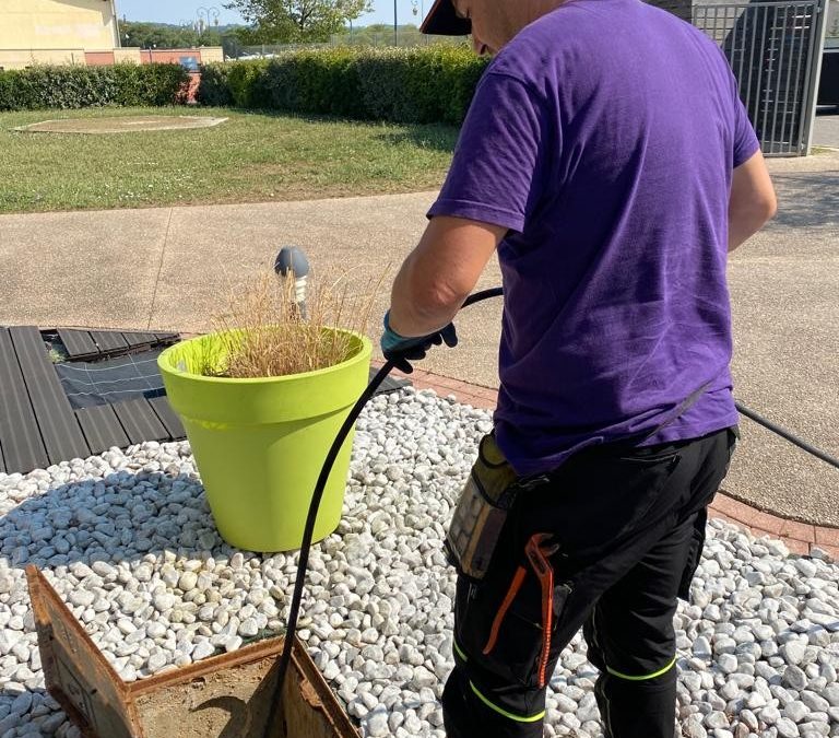 Assainissement des piscines en fin d’été : protéger la planète et vos équipements